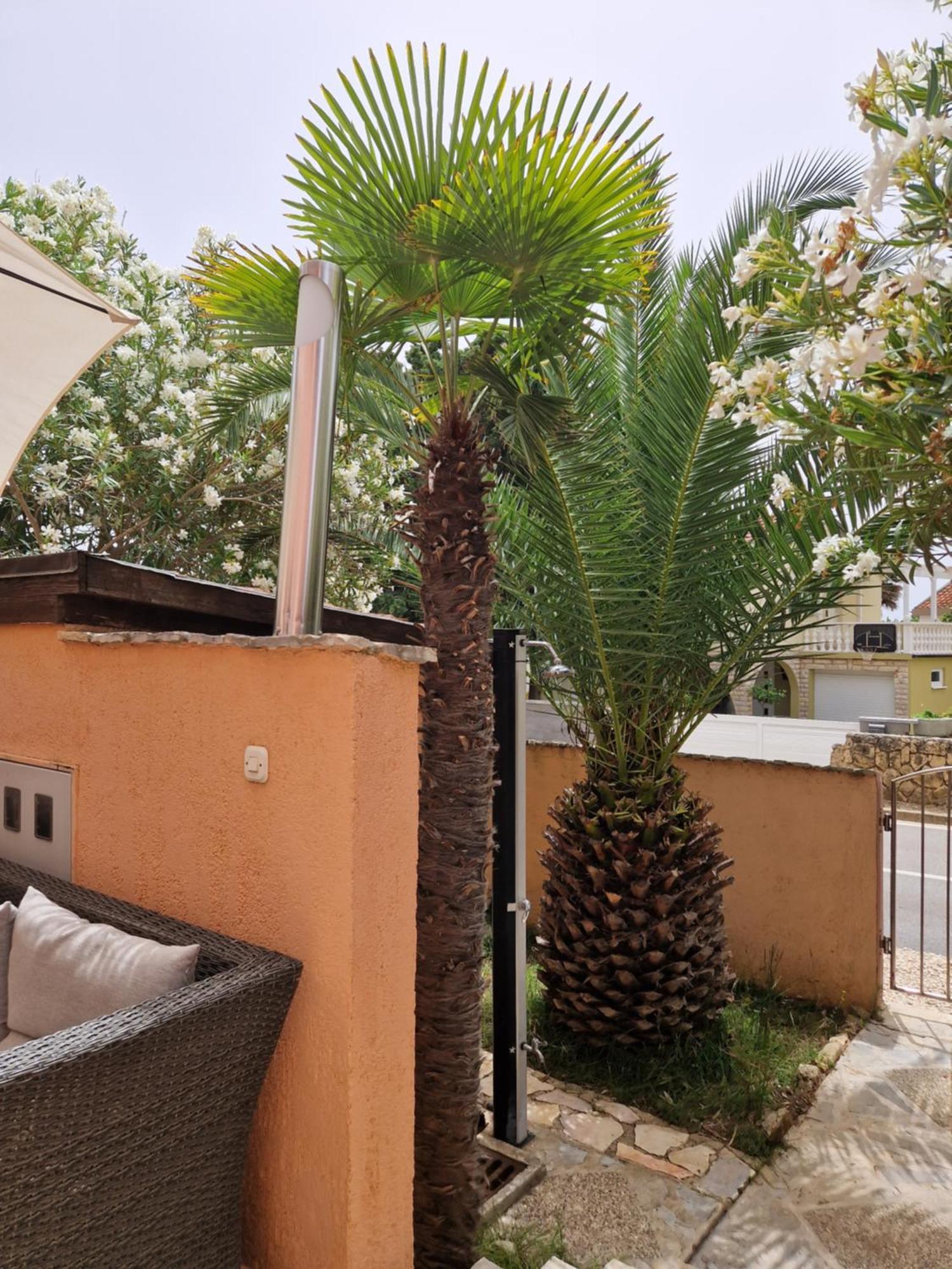 Aurelia Apartments, Вир Стая снимка